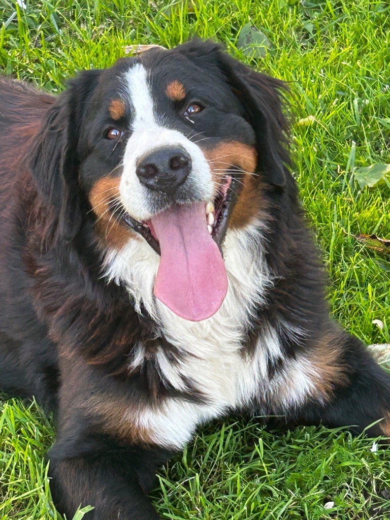 Vic vallee de l'hyrome